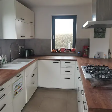 Large With Terrace And Big Garden